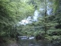 Weißeritztalbahn part 2