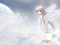 Anime Angels Tribute