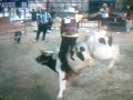 Montas espectaculares en Nayarit