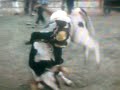 Montas espectaculares en Nayarit