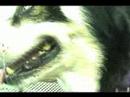 mad doggy world mad doggy world