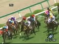 競馬　2002年売布特別　ヒシミラクル