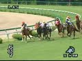 競馬　2002年売布特別　ヒシミラクル