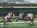 競馬　2002年売布特別　ヒシミラクル