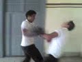 pelella einnar vs augusto