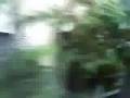 東急世田谷線散策その１・車窓映像他：三軒茶屋…