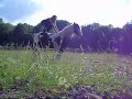 Shaene (1ère partie)