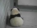 Mei Lan Looking Like Weebles Wobble, 1/17/07 Mei Lan Looking Like Weebles Wobble, 1/17/07