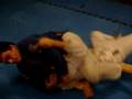 Treino de JIU JITSU no colegio nova era com o mestre Robson