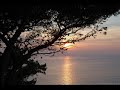 Drunken Munkey - Calabria