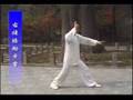 Yang Style Taijiquan -- Chen Longxiang