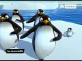Pigloo Penguin