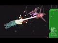 BSG vs 3 Glass Jaws BSG vs 3 Glass Jaws