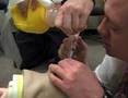 Adult Intubation Skill