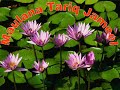 tariq-jameel1.html