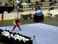 Beisha daoshu worlds