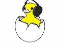 +44 Interview - Egg Crate Rock