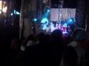 flaming lips