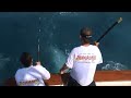 JUMANJI Sport Fishing Charters Miami Florida