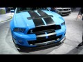 NEW 2013 Ford Shelby Cobra GT500 Racing Car