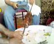 oltu cağ kebabı