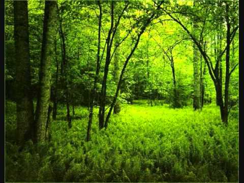 Youtube Video t57UM9yZ_6E