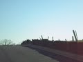 Braemar - 37 - 65\