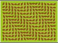 Fantastiche illusioni ottiche tutte diverse. Guardate!!!
