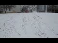 Sledding