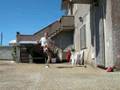 calcio freestyle experience team football freestyle soccer