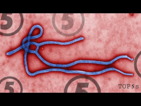 how to know ebola virus