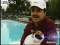 Cat Likes Swimming Cat Likes Swimming