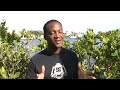 Internet Millionaire reveals the true make money online
