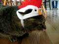 Dinosaur vs. Chicken, Part III