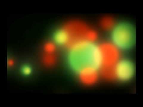 Youtube - Video: D2 feat  Dan Diamond   Therapy Speedy's Session