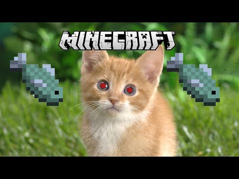 Minecraft: I Hate Cats!