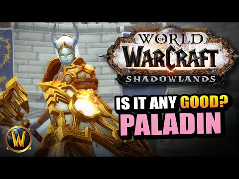 PALADIN in Shadowlands // Is it any good?