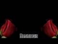 Rammstein Rosenrot ( Rose- red )