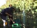 Informe Estancia Eco turística Finca Piedra - Cosas de mi país TV Informe Estancia Eco turística Finca Piedra - Cosas de mi país TV