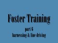Foster Training part 6