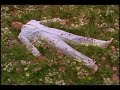 Peter-Gabriel-Diggin