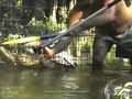 Rattlesnake Rescue