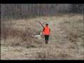 Pheasant Hunting