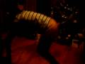 videos de shanice playin around!!!