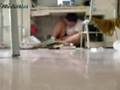 Riprese amatoriali terremoto in cina