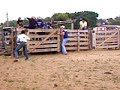 wallen x carimbo da cia de rodeio gira mundo