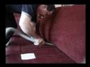 Happy Carpet Cleaners- Steam Cleaning Upholstery