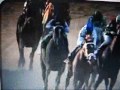 Horse Racing-Bring Me To Life