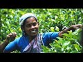 FAIRTRADE breaking the chains