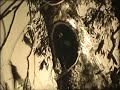 Old Aboriginal film - How to make a Wira Old Aboriginal film - How to make a Wira